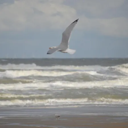 Сasa de vacaciones Huisjes Aan Zee